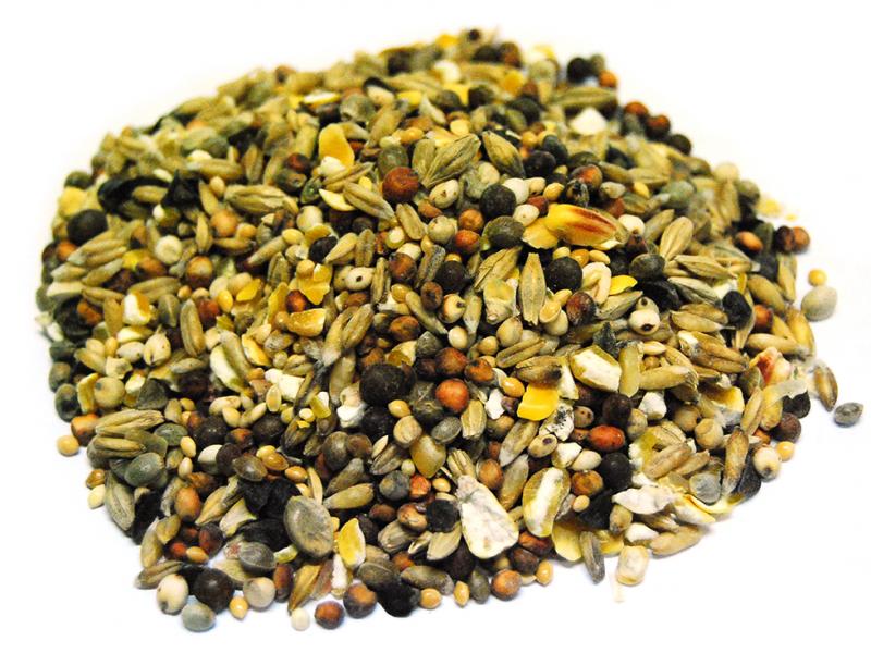 Aniseed Parti-Blend