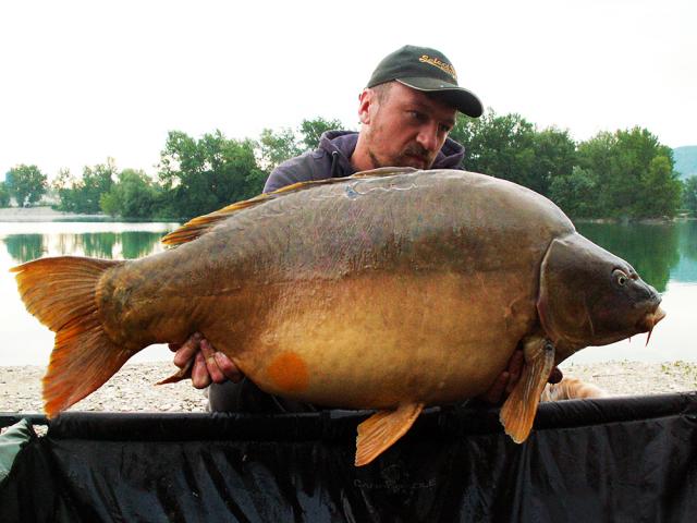 Belachan and Hot Fish on the big carp lake 