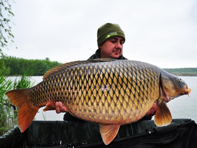 BELACHAN, in meniul crapilor record