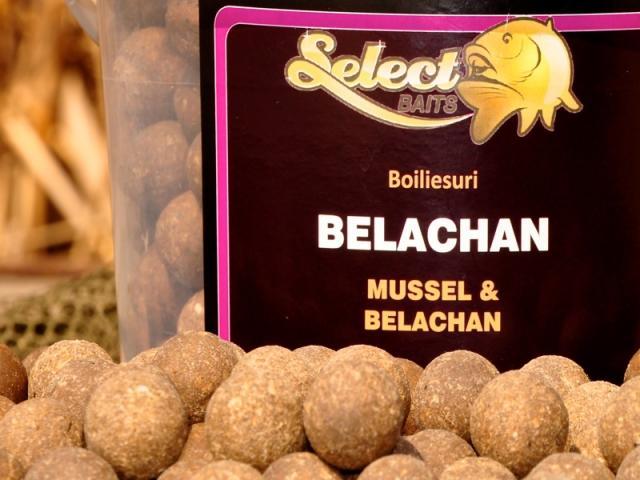 BELACHAN pe pat de iarba