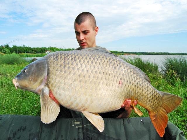 BIO-KRILL pe Sarulesti
