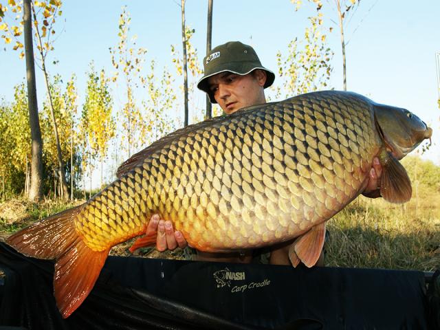 Boiliesurile HOT FISH si crapii de Varlaam