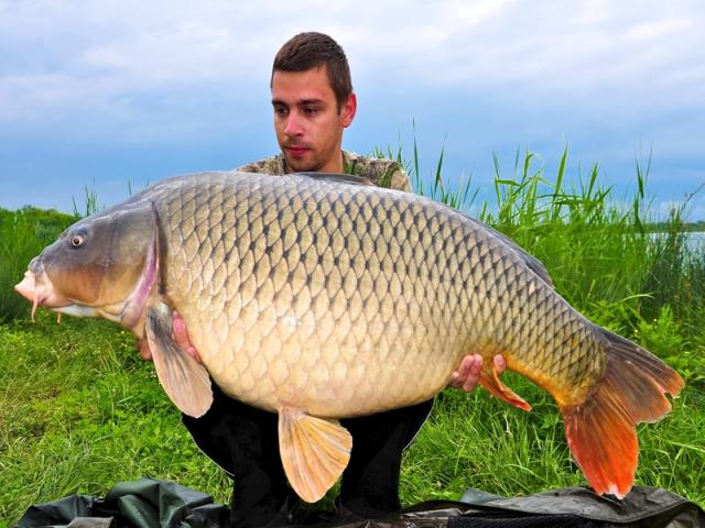 Captura de 22,2kg la MEAT &amp; FISH