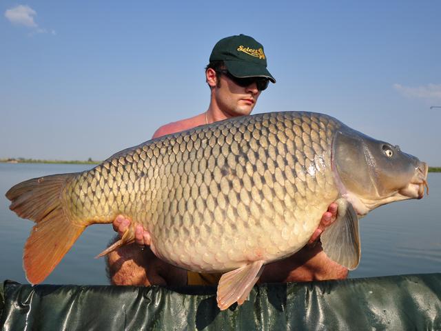 Captura superba la Zig Rig 