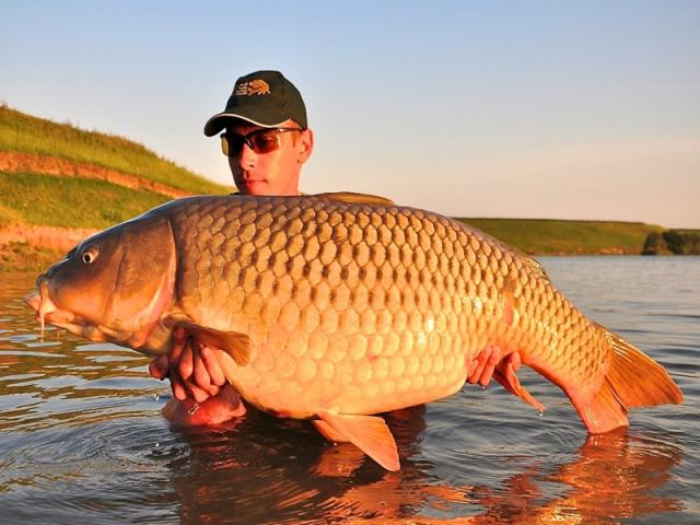 Capturi in serie la MEAT &amp; FISH