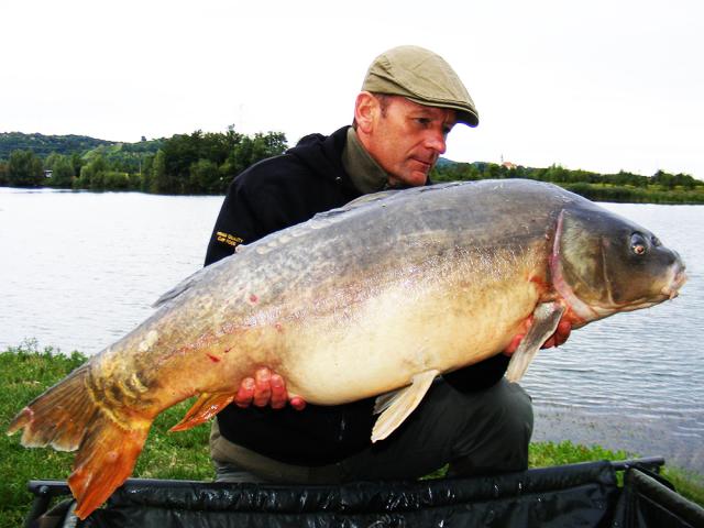 Carps and nutritional boilies