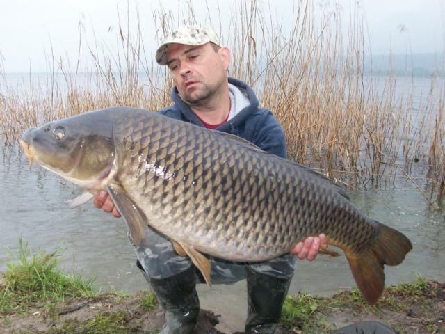 Como se dice 'SUCCES'? HOT FISH!