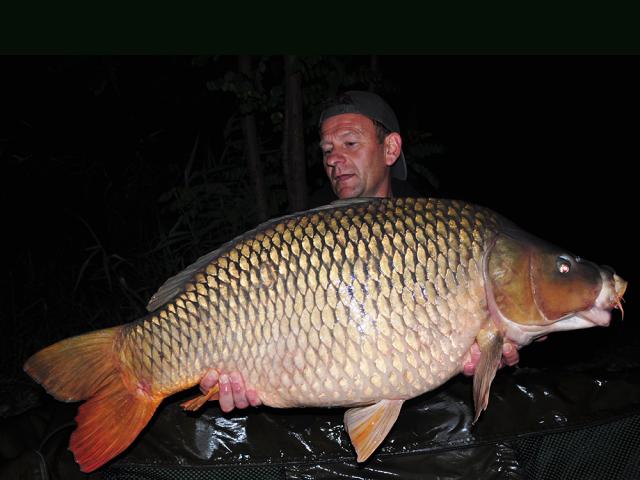 Dream Carps of Dream Lake
