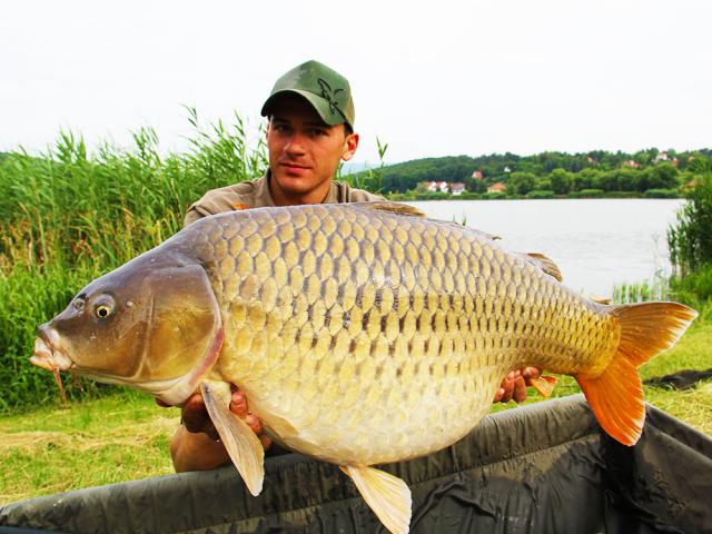 Dream carps