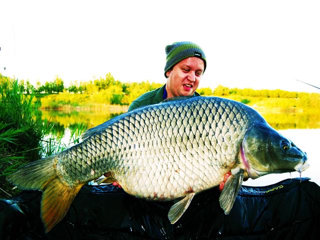 Dublu dril de 20 kg cu BELACHAN