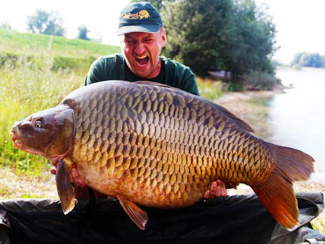 Gloria weighs 30.5kg
