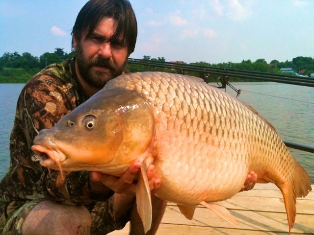 HOT FISH prinde pe Moara Vlasiei 2