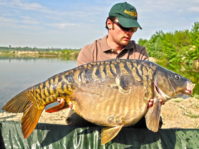 Hrana naturala? Va recomandam MEAT &amp; FISH!