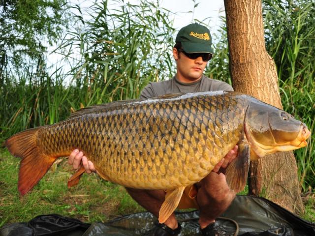 MEAT &amp; FISH da roade pe Tancabesti