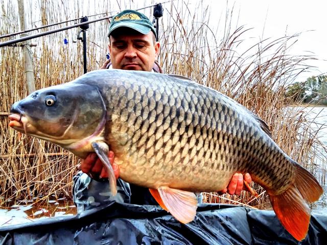 MEAT &amp; FISH in Toscana