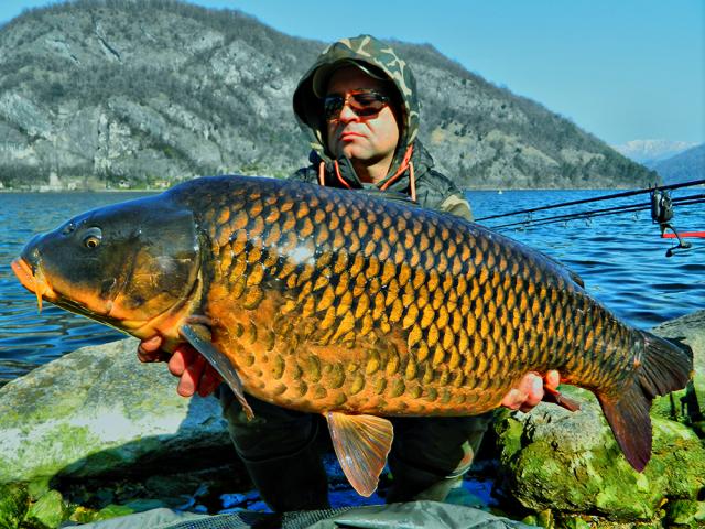 MEAT &amp; FISH - Italian style