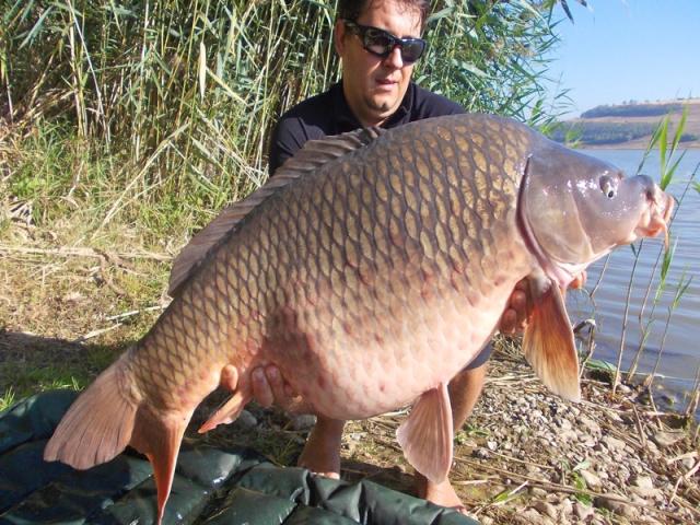 MEAT &amp; FISH la Horgesti (1)