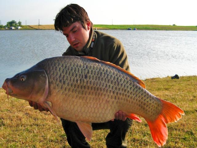 MEAT &amp; FISH pe "Livada cu crapi"