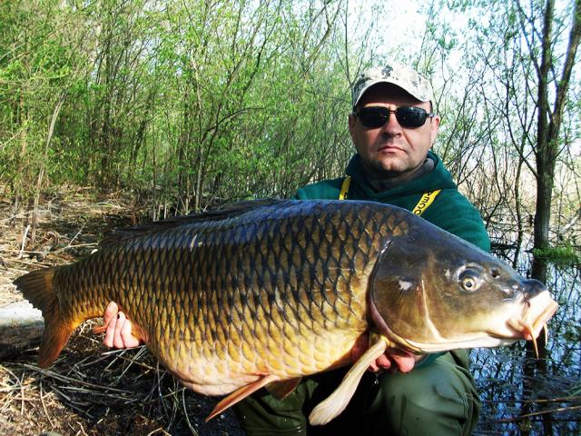 Partida fulger cu BIO-KRILL 