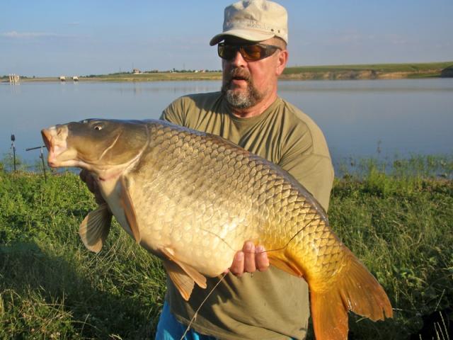 Recital Cornel Serbu la MEAT &amp; FISH