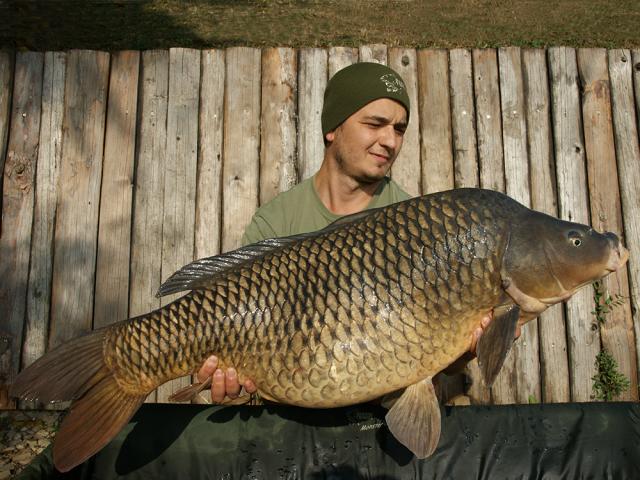 Recolta de toamna cu HOT FISH