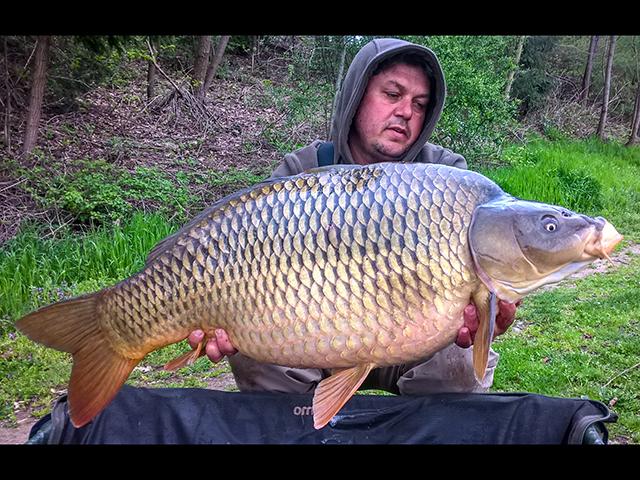 Roby in Austria, on FZZ Lake