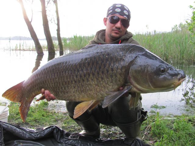 Select Baits calatoreste prin Europa