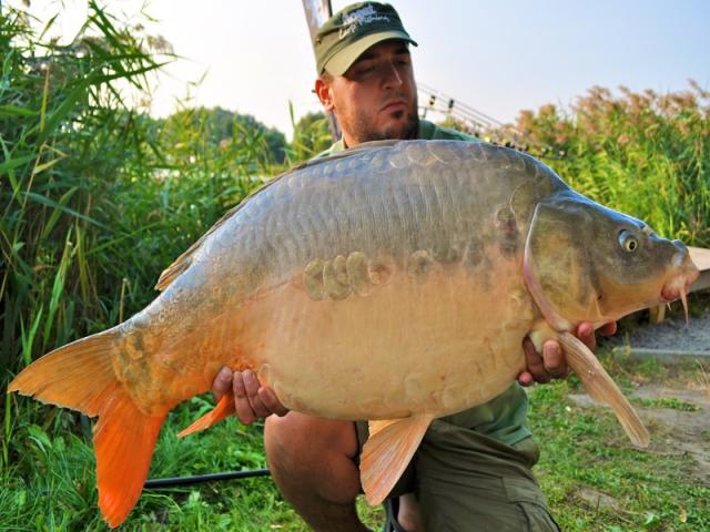 SELECT BAITS la Nagykallo 