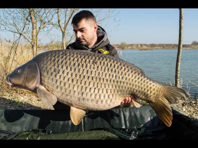 Select Baits at Varlaam - chapter I