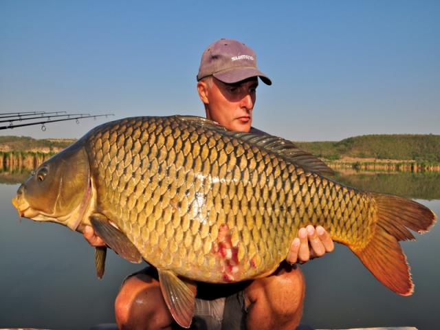 Select Baits la Vlahii