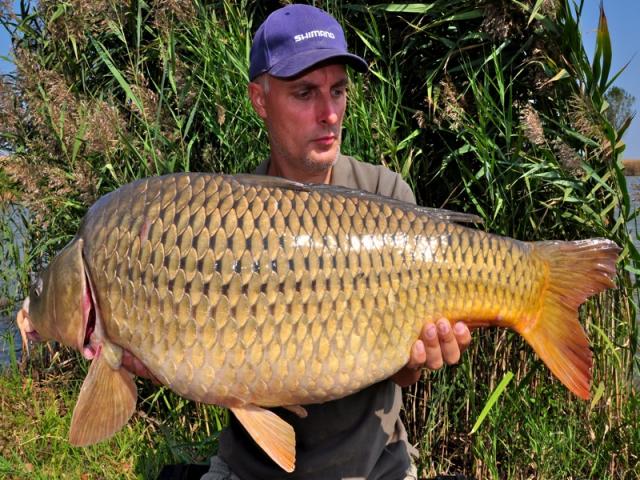 SELECT BAITS prinde la Teiu
