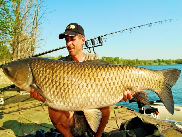 Submarin la NATURAL MAIZE