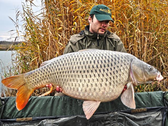 Two colors and an important catch on cold water