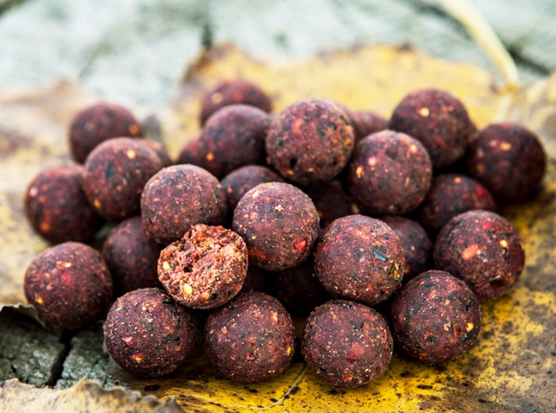 Ready-Made Boilies