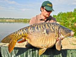 Boilies Select Baits Hot Fish + Monster Crab and Black Pepper Oil