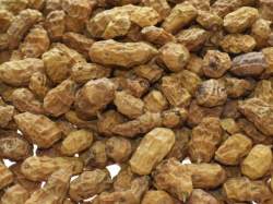 Alune tigrate Select Bais Mixed Sizes Tiger Nuts 5kg