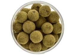Boilies de carlig Select Baits Hard Hookbaits Belachan