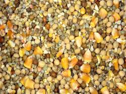 Seminte Select Baits Mega Particle Mix 1kg