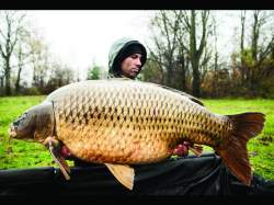 Boilies Select Baits Belachan + Mussel & Belachan