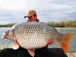 Boilies Select Baits Meat & Fish + Squid & Octopus & Cranberry