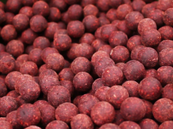 Boilies Select Baits Meat & Fish + Squid & Octopus & Cranberry
