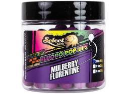 Momeli de carlig Select Baits Mulberry Florentine Pop-ups