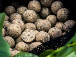 Boilies Select Baits Nutty Scopex