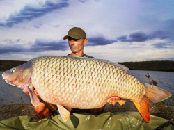 Boilies Select Baits Nutty Scopex