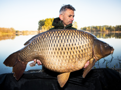 Boilies Select Baits Nutty Scopex