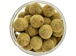 Boilies de carlig Select Baits Hard Hookbaits Nutty Scopex