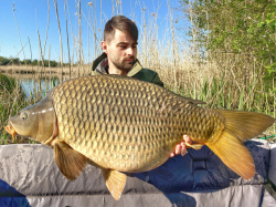 Boilies de carlig Select Baits Hard Hookbaits Nutty Scopex