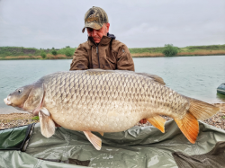 Boilies de carlig Select Baits Hard Hookbaits Nutty Scopex