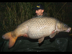 Sapca Select Baits Flexfit Ultrafibre Airmesh Black Cap