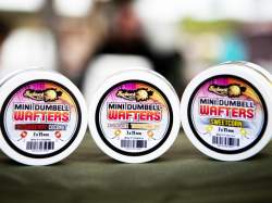 Momeli critic echilibrate Select Baits Mini Dumbells Wafters Sweetcorn